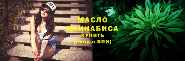 прущие грибы Елабуга