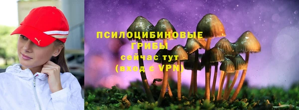 Альфа ПВП Ельня