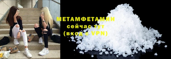 прущие грибы Елабуга