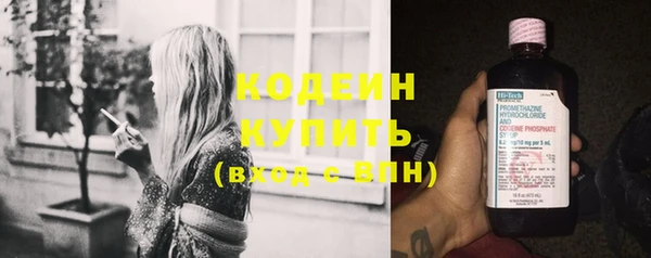 прущие грибы Елабуга