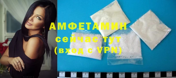 прущие грибы Елабуга
