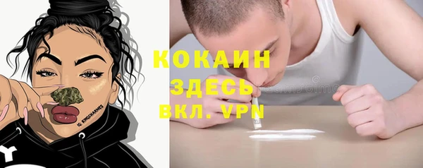 ECSTASY Шадринск