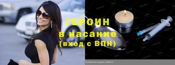 прущие грибы Елабуга