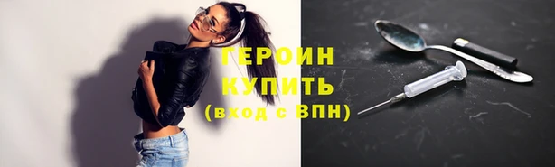 прущие грибы Елабуга