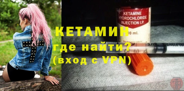 прущие грибы Елабуга