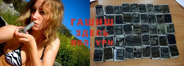 прущие грибы Елабуга