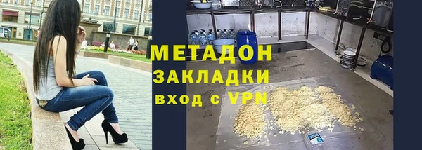 прущие грибы Елабуга