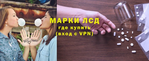 прущие грибы Елабуга