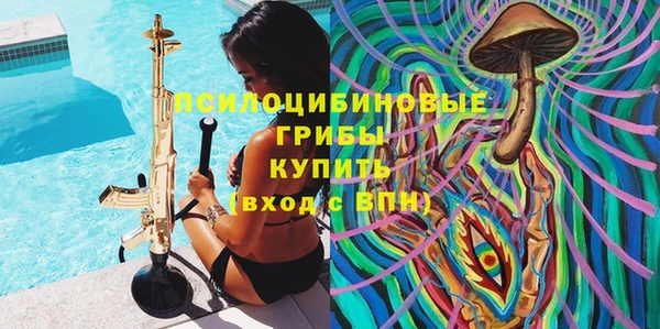Альфа ПВП Ельня